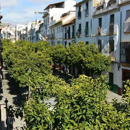 Casa Del Portillo-centro Historico Semesterbostad
