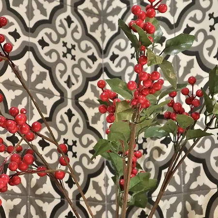 Casa Del Portillo-centro Historico * 科爾多瓦